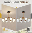 BOKT Large Gold Sputnik Chandelier 8 Head Wood (BPC016)