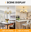 BOKT Gold Vintage Chandelier Modern 5-Light Globe Chandelier with Smooth Lampshade Sputnik Pendant Light Dining Room Chandeliers for Living Room Bedroom