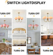 BOKT 5 Light Gold Globe Sputnik Chandelier Modern Pink Glass Sputnik （BCP012)